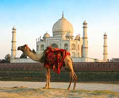 Tour Package In Rajasthan